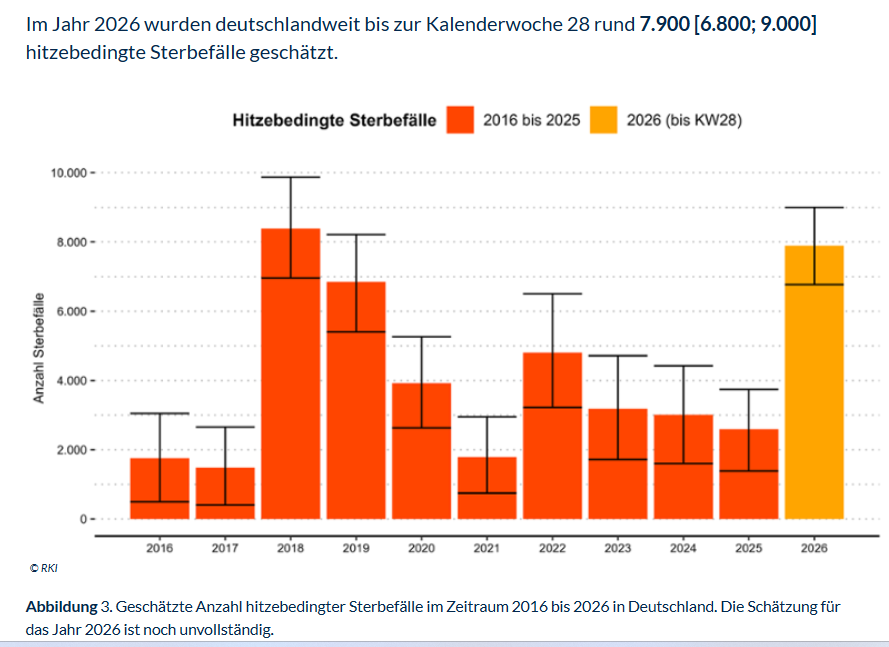 Hitzetote Screenshot RKI